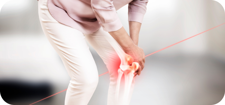 무릎관절 특징과 증상